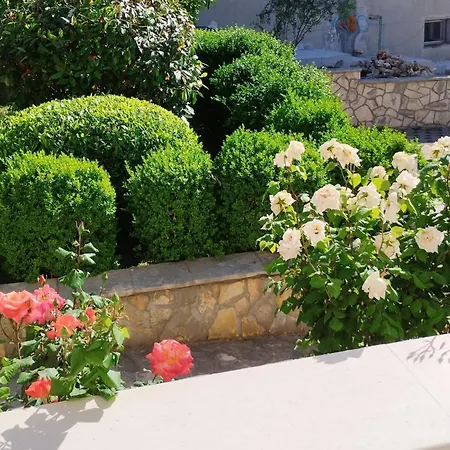 Appartamento One-bedroom With Terrace A2 *